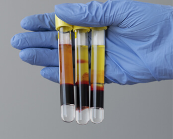 prp01